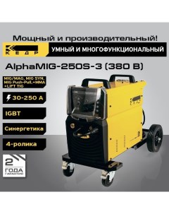 Сварочный инверторный полуавтомат AlphaMIG 250S 3 30 250А 380В 8011616 Кедр