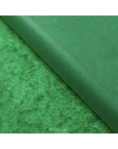 Бумага упаковочная тишью Зеленая 50х66 см 10 шт Sadaf