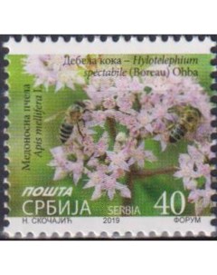 Почтовые марки Сербия Цветок с пчелой Цветы Пчелы Почтовые марки мира