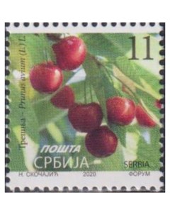 Почтовые марки Сербия Вишня Prunus avium L L Флора Фрукты Почтовые марки мира