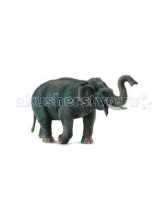 Фигурка Азиатский слон 15 см Collecta