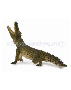 Фигурка Нильский крокодил 17 см Collecta
