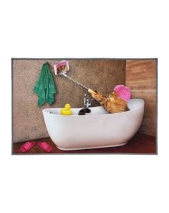 Коврик для ванной влаговпитывающий Velur Spa Инстакот разноцветный 40х60 см Vortex