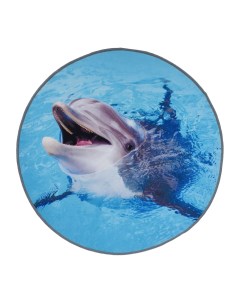 Коврик для ванной влаговпитывающий Velur Spa Дельфин разноцветный 60 см Vortex
