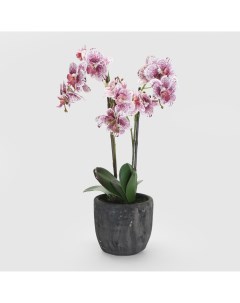 Цветок искусственный Орхидея в горшке 2 цвета 54 см Fuzhou light