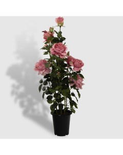 Роза в кашпо бледно розовая искусственная 102 см Tianjin