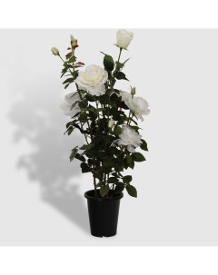 Роза в кашпо белая искусственная 102 см Tianjin