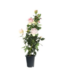 Цветок искусственный Роза Светло розовая в кашпо 102 см Tianjin