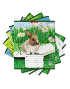 Тетрадь школьная ученическая Кролики в клетку A5 12 листов в ассортименте Erich krause