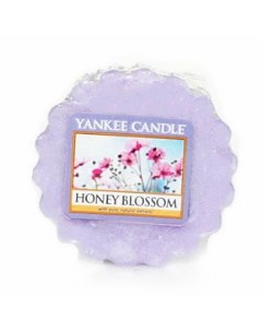 Аромасвеча тарталетка Цветочный мед 1254069E Yankee candle