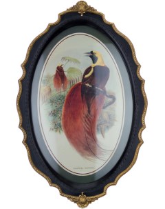 Панно в овальной резной раме птица с красным пушистым хвостом 39x24x3 см Гласар