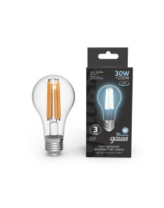 Лампа Filament А70 30W 3100lm 4100К Е27 LED 1 10 40 Gauss