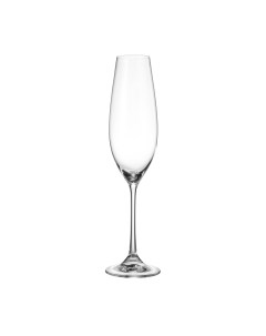 Набор бокалов для шампанского Columba 6 шт Crystalite bohemia
