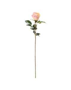 Цветок искусственный Роза Герцогиня кремово персиковая Most flowers