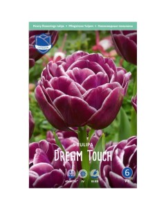 Тюльпан Dream touch 5 шт Lefeber