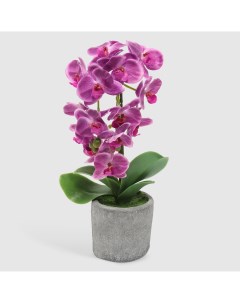 Цветок искусственный в горшке орхидея пурпурная 42 см Fuzhou light