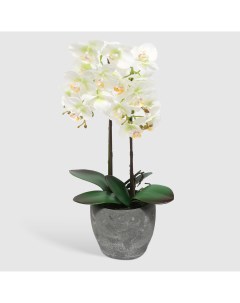 Цветок искусственный в горшке orchid бело зеленая 54 см Fuzhou light