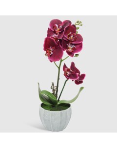 Цветок искусственный в горшке орхидея бордовая 40 см Fuzhou light