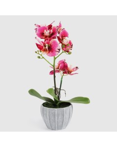 Цветок искусственный в горшке орхидея тигровая 2 цвета 40 см Fuzhou light