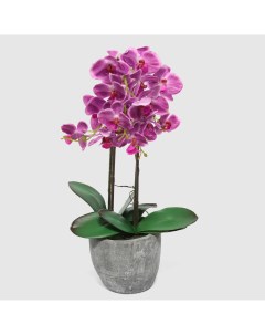 Цветок искусственный в горшке orchid пурпурная 54 см Fuzhou light