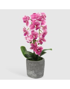 Цветок искусственный в горшке орхидея лиловая 42 см Fuzhou light