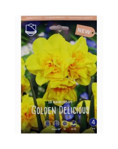 Нарцисс Golden delicious 10 шт Lefeber