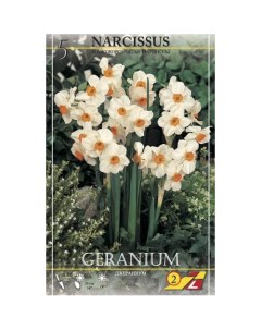 Нарцисс Geranium 5 шт Lefeber