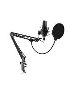 Микрофон RDM 169 Ritmix
