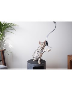 ROSEWOOD Игрушка для кошек дразнилка Длинный хвост серая 41х2х2см Великобритания Rosewood (великобритания)