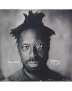 Shabaka Hutchings Afrikan Culture LP Impulse