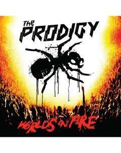The Prodigy World s On Fire LP Take me to the hospital