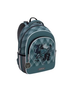 Школьный рюкзак ErgoLine 15L Dragon Emblem 57025 Erich krause