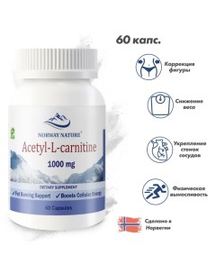 Acetyl L carnitine Ацетил Л карнитин 1000 мг 60 капсул Снижение веса Norway nature