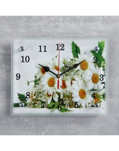 Часы картина настенные серия Цветы Ромашки 20х25 см Сюжет