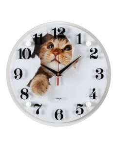 Часы настенные Кот в бумаге Рубин