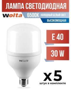 Лампа светодиодная E40 30W 6500K высокомощная арт 686696 5 шт Wolta
