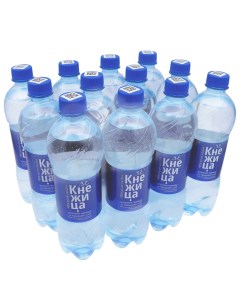 Вода питьевая газированная 0 6 л х 12 шт Кнежица