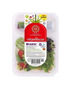 Салатная смесь Салатный ростковый Микс 1 и соус 100 г Vitamincus
