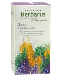 Чай из трав пакетированный заряд витаминов 24 пакетиков Herbarus