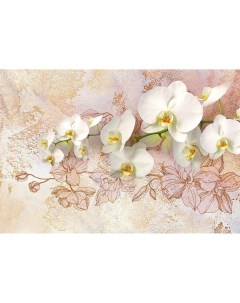 Фотообои бумажные Белоснежная орхидея 294 201см Восторг