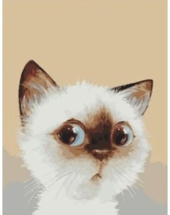 Картина по номерам Виноватый котенок холст на подрамнике 40х50 см GX44183 Paintboy