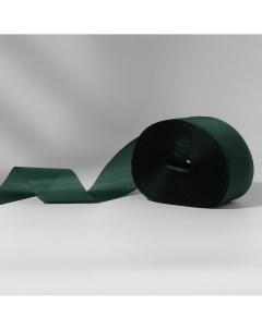 Лента капроновая 50 мм 100 5 м цвет темно зеленый Nobrand