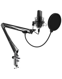 Микрофон вокальный Ritmix RDM 169 Black RDM 169 Black