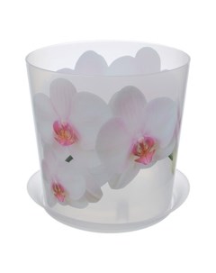 Горшок для цветов пластик 1 2 л 12 5х12 5 см для орхидей белый Деко М 3105 Idea