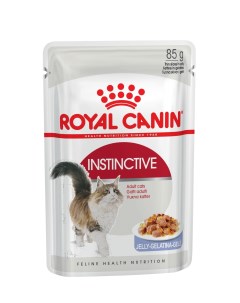 Влажный корм для кошек Instinctive в желе 12шт по 85 г Royal canin