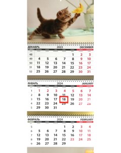 Календарь Квартальный 2024 год Котята игра КТ 2438 Грейт принт