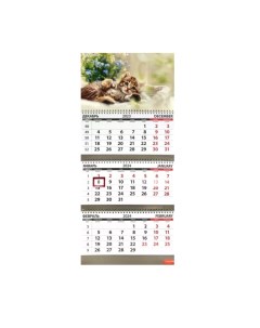 Календарь Квартальный 2024 год Котята цветы КТ 2439 Грейт принт