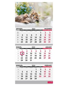 Календарь Квартальный 2024 год Котята сон КТ 2437 Грейт принт