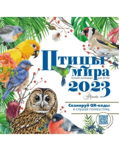 Птицы мира Календарь для детей с голосами птиц 2023 год Аст