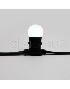 Светодиодная лампа для Белт Лайта E27 G45 белая Aledus